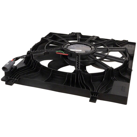 700653.jpg