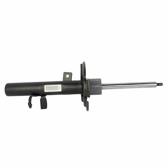 Suspension Strut Shock Absorber - Right, Front 18" Main Image