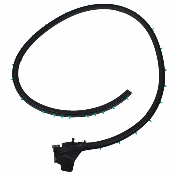 Door Seal Weatherstrip - Right, Front (Convertible, Coupe) Main Image