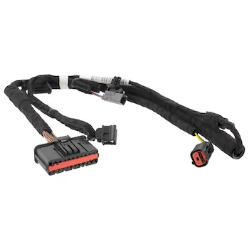 Wiring - Right, Rear