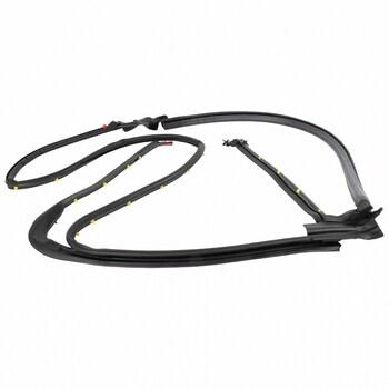 Door Seal Weatherstrip - Right, Rear