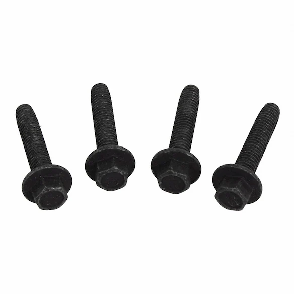 Screw - M6 X 30 3.0L Main Image
