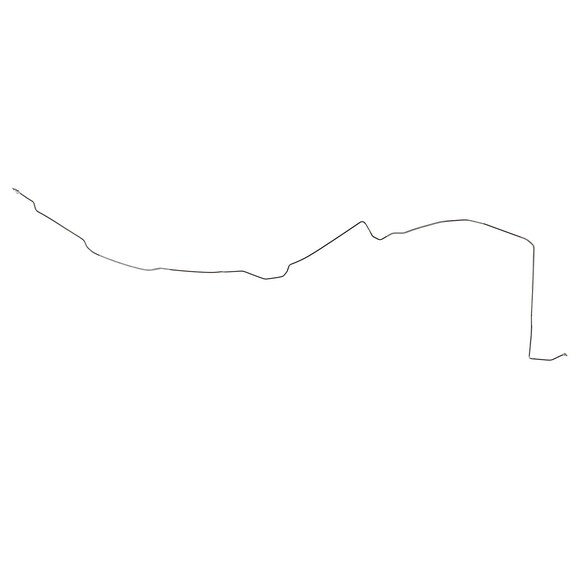 557664.jpg