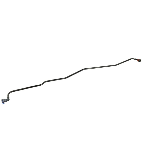 495666.jpg
