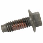 Bolt Main Image
