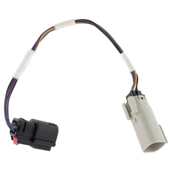 Tail Light Socket - Rear