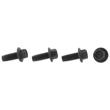 Screw Self Tapping - M8 x 10MM, Rear (Police)