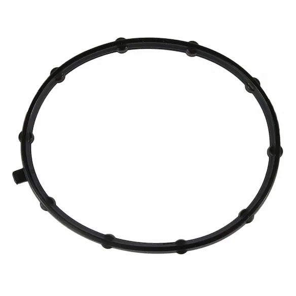 Vacuum Pump Gasket Main Image