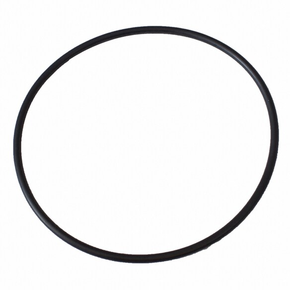 Engine Water Pump Gasket - 6.0L Main Image
