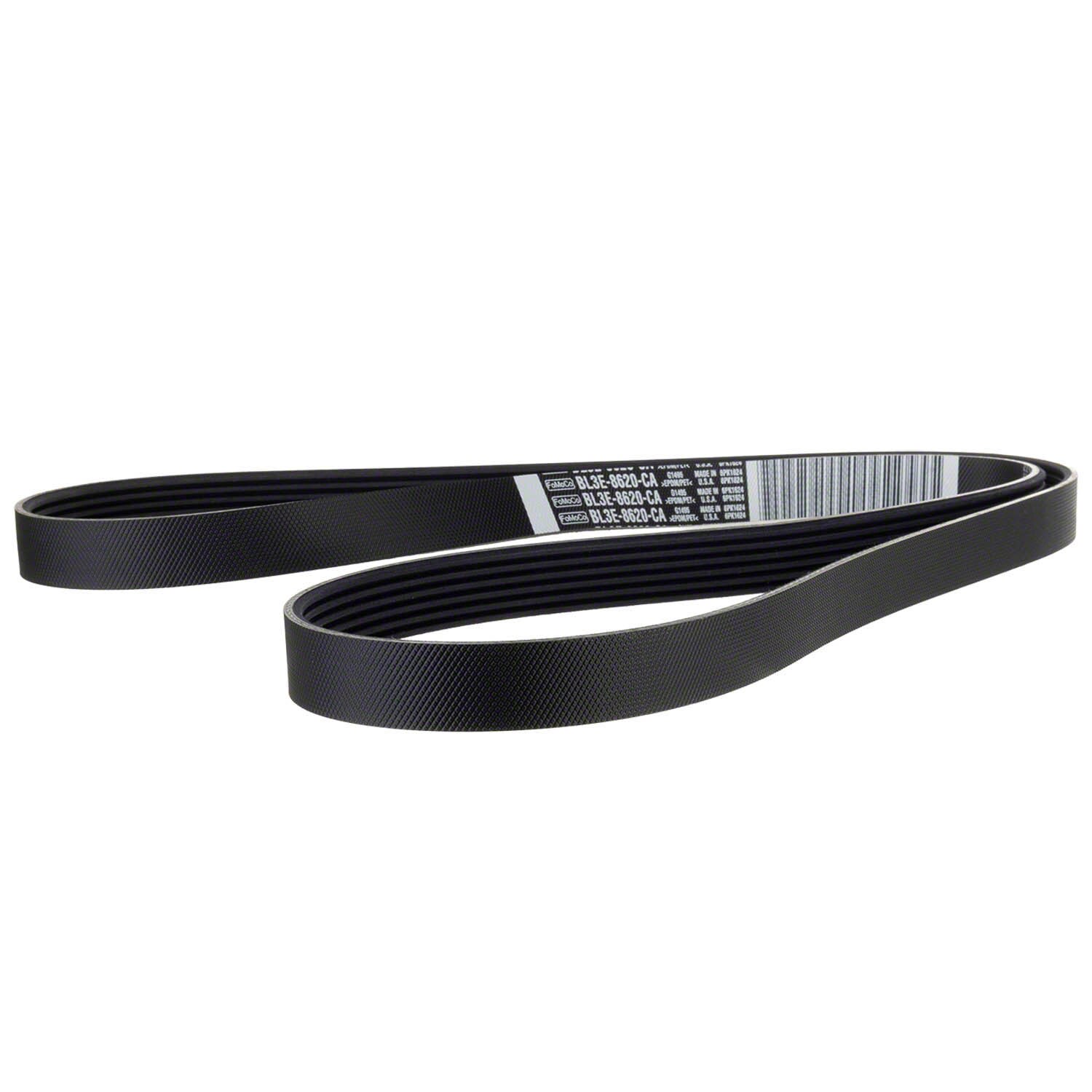 Serpentine Belt - 5.0L | Parts | Ford.com
