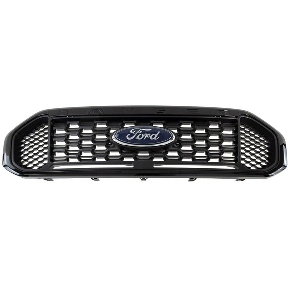 Grille Molding Insert - Front (XLT) Main Image