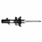 Suspension Strut Shock Absorber - Right, Front Main Image
