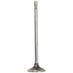 Engine Exhaust Valve - 5.0L Main Image
