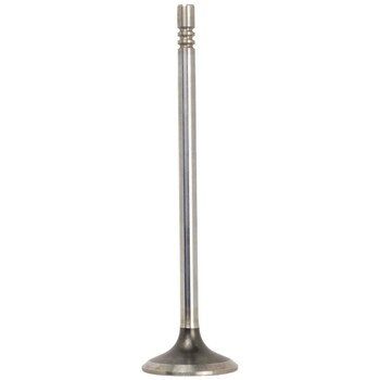 Engine Exhaust Valve - 5.0L