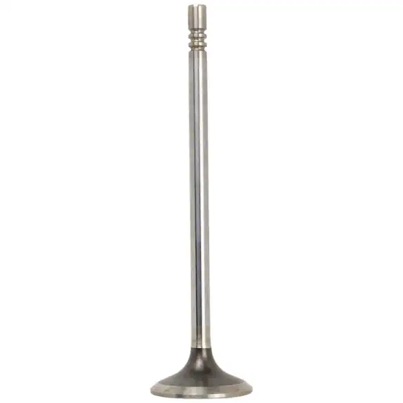Engine Exhaust Valve - 5.0L Main Image