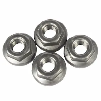 Hex Head Nut - M6