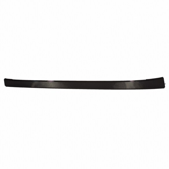 Panel Sunroof Molding - Left Main Image