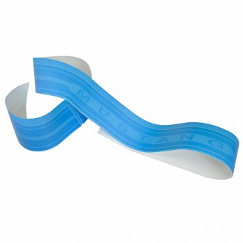 Trim Stripe Tape Decal - Right, Lower