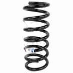 Coil Spring - Left, Right, Rear Main Image