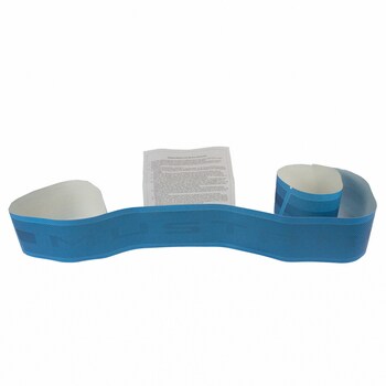 Trim Stripe Tape Decal - Left, Lower (Bdysde Accent Pony)