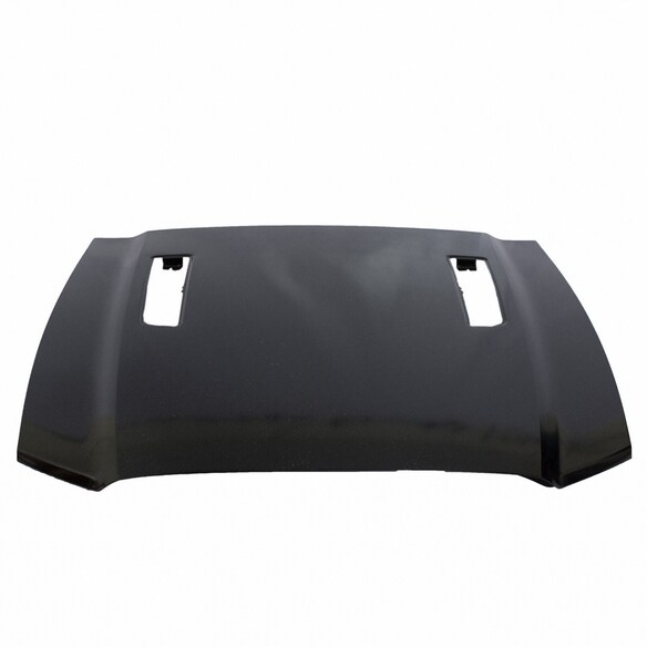 Hood Panel Extension (GT) Main Image