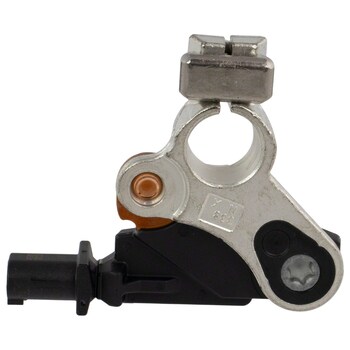 Battery Control Module Management System (AT)