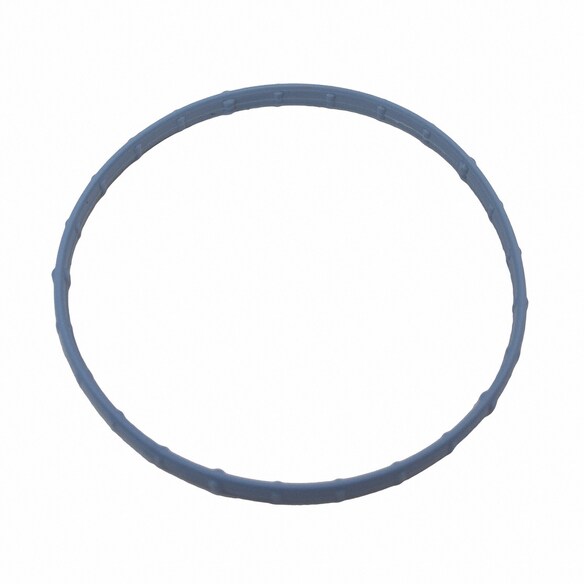 Fuel Injection Throttle Body Mounting Gasket Main Image