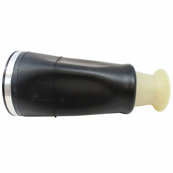 Air Suspension Spring Coil - Rear Main Image