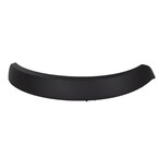 Fender Flare Molding - Right Main Image