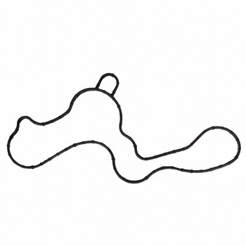 Water Pump Gasket Auxiliary - Outer