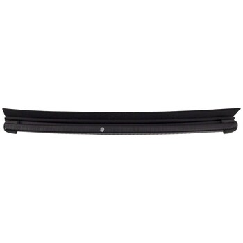 Door Window Belt Weatherstrip - Right, Rear