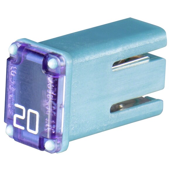 498697.jpg