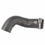 Engine Coolant Bypass Hose - 4.6L (Cobra) Main Image