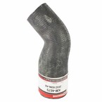 Radiator Coolant Hose - Lower 4.6L Main Image