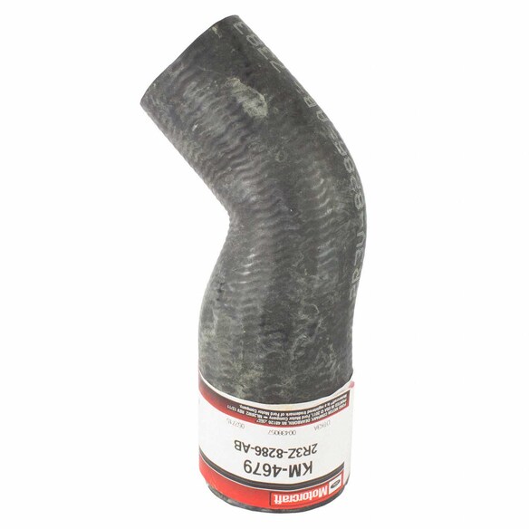 Radiator Coolant Hose - Lower 4.6L Main Image