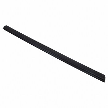 Door Window Belt Weatherstrip - Left, Front