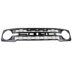 Radiator Grille - Front (Raptor Series) Main Image