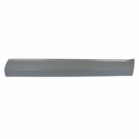Door Molding Panel - Right, Lower, Outer (ST) Main Image