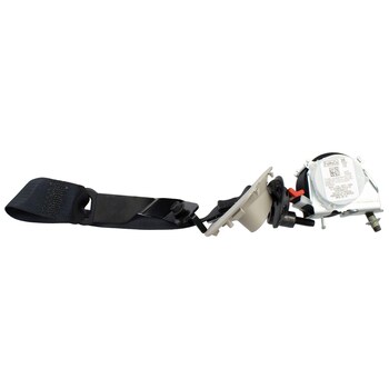 Seat Belt - Right, Rear (Regular Wagon, XL)