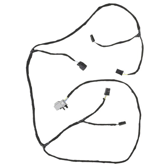 593707.jpg