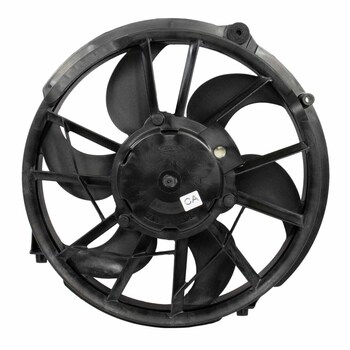 Engine Cooling Fan and Motor - 5.4L (GT)
