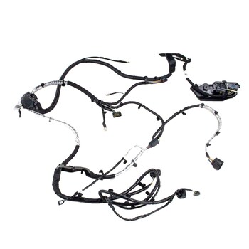 Wiring Lamps - Rear 2.3L