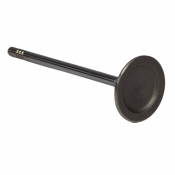 Engine Intake Valve - Inlet 5.0L