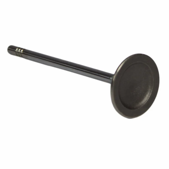 Engine Intake Valve - Inlet 5.0L Main Image