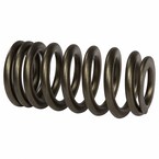 Engine Valve Spring - 5.0L Main Image