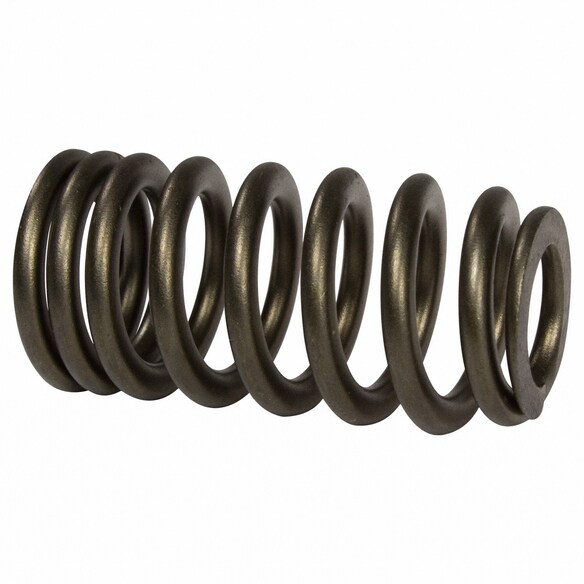 Engine Valve Spring - 5.0L Main Image