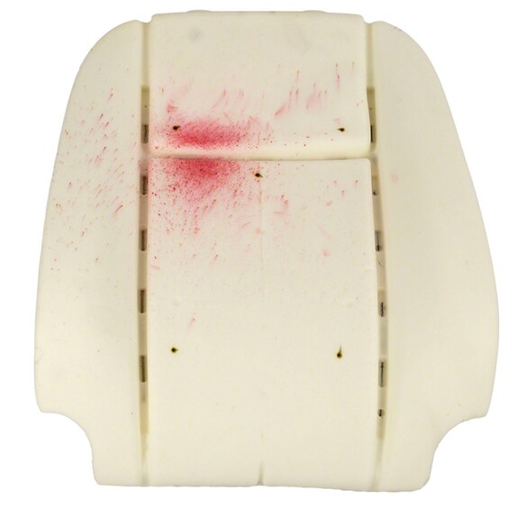 Seat Back Cushion Pad Main Image