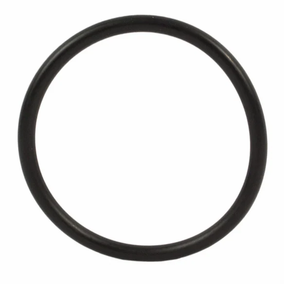 Engine Coolant Thermostat Gasket Seal Main Image