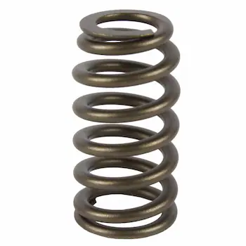 Engine Valve Spring - 6.7L.