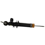 Suspension Strut - Front Main Image